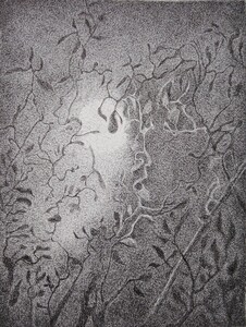 Dessin Stylo bille 46x60cm � N&deg;57DE