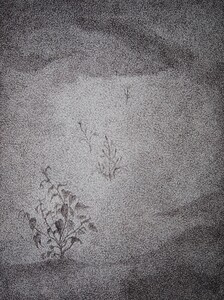 Dessin Stylo bille 46x60cm � N&deg;58DE