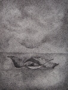 Dessin Stylo bille 46x60cm � N&deg;61DE