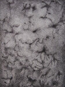 Dessin Stylo bille 46x60cm � N&deg;64DE