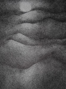 Dessin Stylo bille 46x60cm � N&deg;65DE