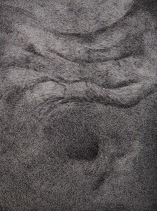 Dessin Stylo bille 46x60cm � N&deg;67DE